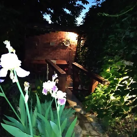 Apartment Mangal And Terrace In Center Lviv